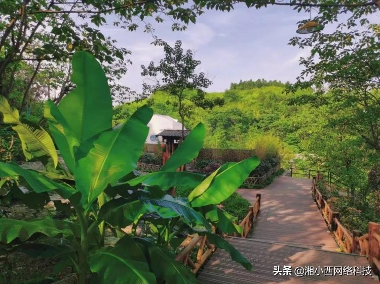 湘西民宿名称大全,湘西民宿生活