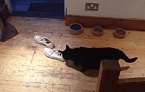 下雨天鞋子脏了怎么清洗小妙招,鞋子又脏又霉怎么洗