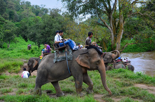 关于泰国你不知道的冷知识,泰国十大冷知识