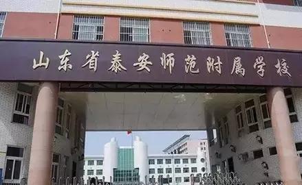 安泰小学视频,安泰小学简介