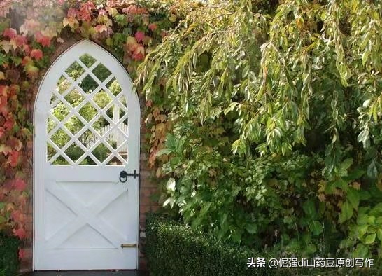 一屋一木一生一世