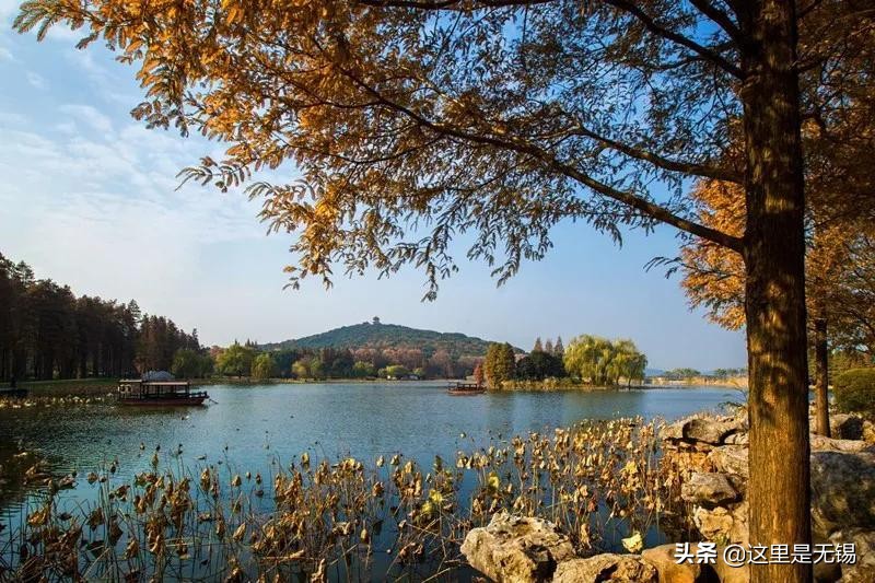 无锡秋游胜地最全推荐,无锡秋游自驾绝佳去处