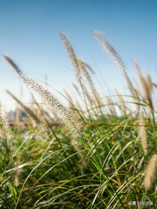 恋人性格多变怎么办,恋人变冷淡怎么办