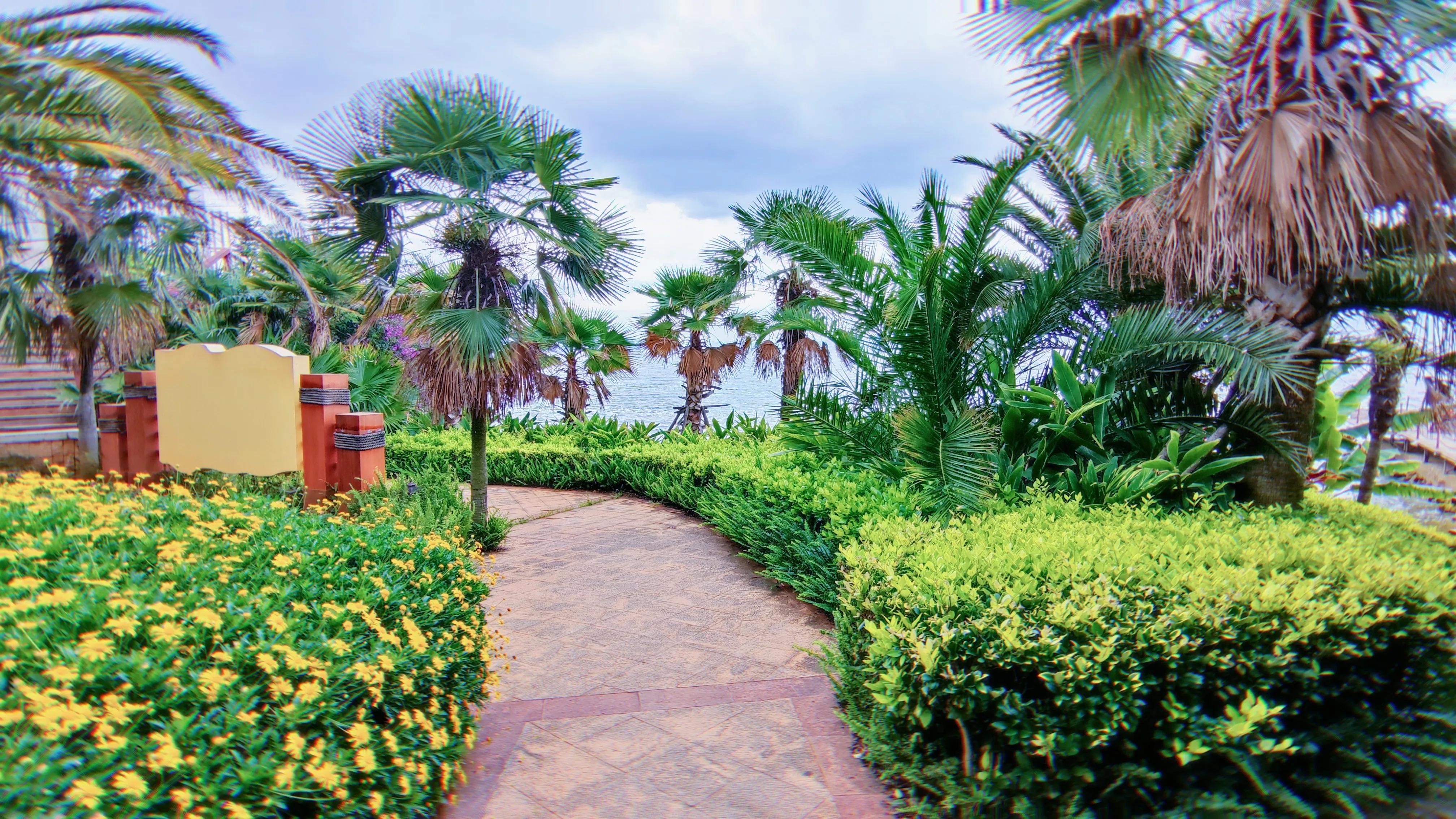 4月抚仙湖樱花谷,抚仙湖樱花谷水下古城