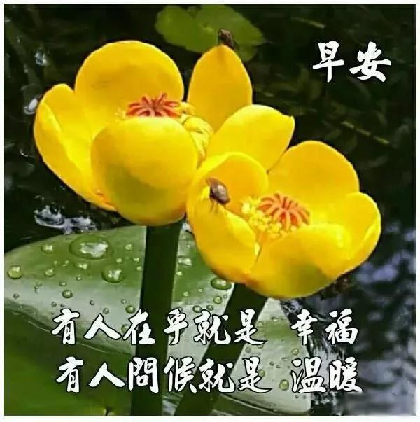 浜虹敓鍗冮噾鏄撳緱鐭ュ繁闅捐,鍗冮噾鏄撳緱鐭ュ繁闅炬眰鏃╁畨鍥剧墖