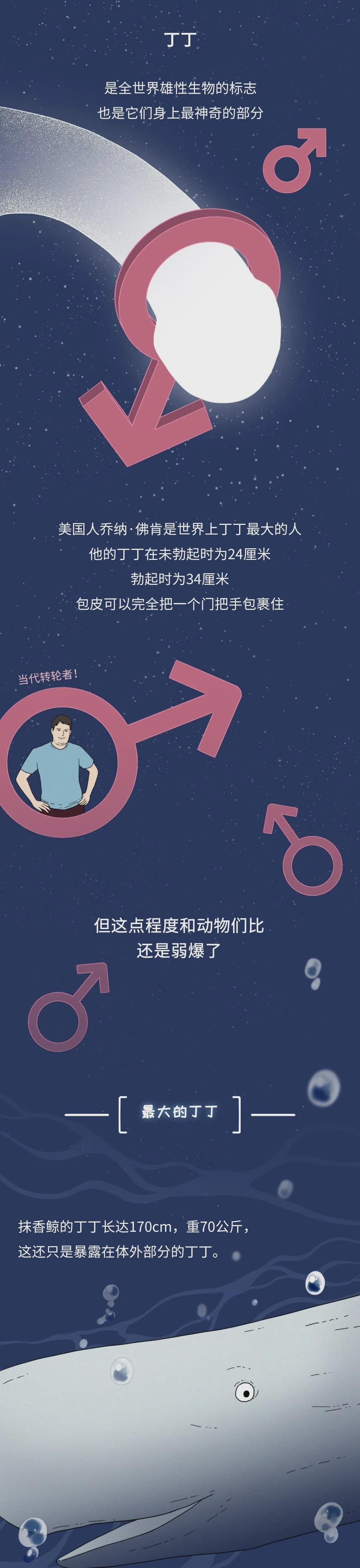 为什么同样是丁丁，差距却这么大？34cm竟然排垫底