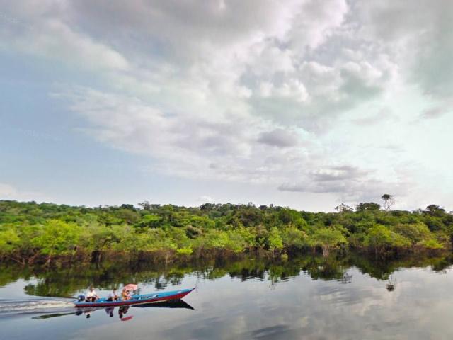 亚马逊热带雨林多大面积,亚马逊雨林最多的植被