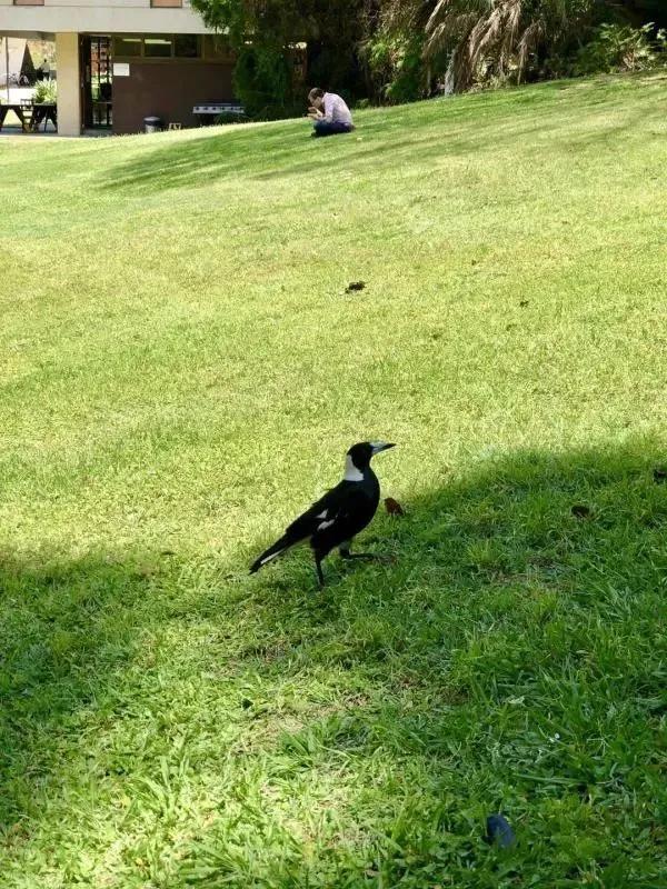 top50的昆士兰大学,昆士兰大学值得读吗