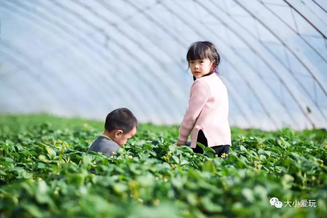 在瑞士带娃,在瑞士带孩子
