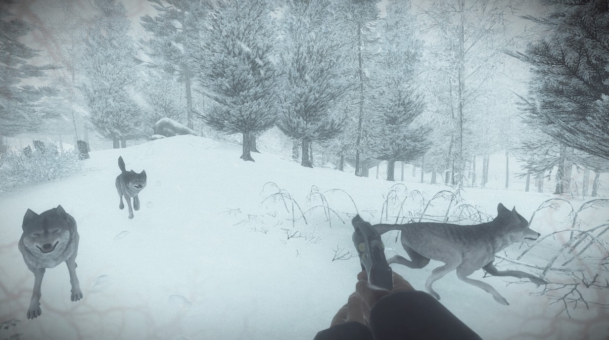 游戏若只如初见,科纳风暴完整版攻略