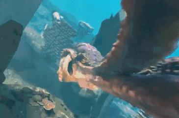 世界上最大的大王酸浆鱿有多少米,大王酸浆鱿长80米