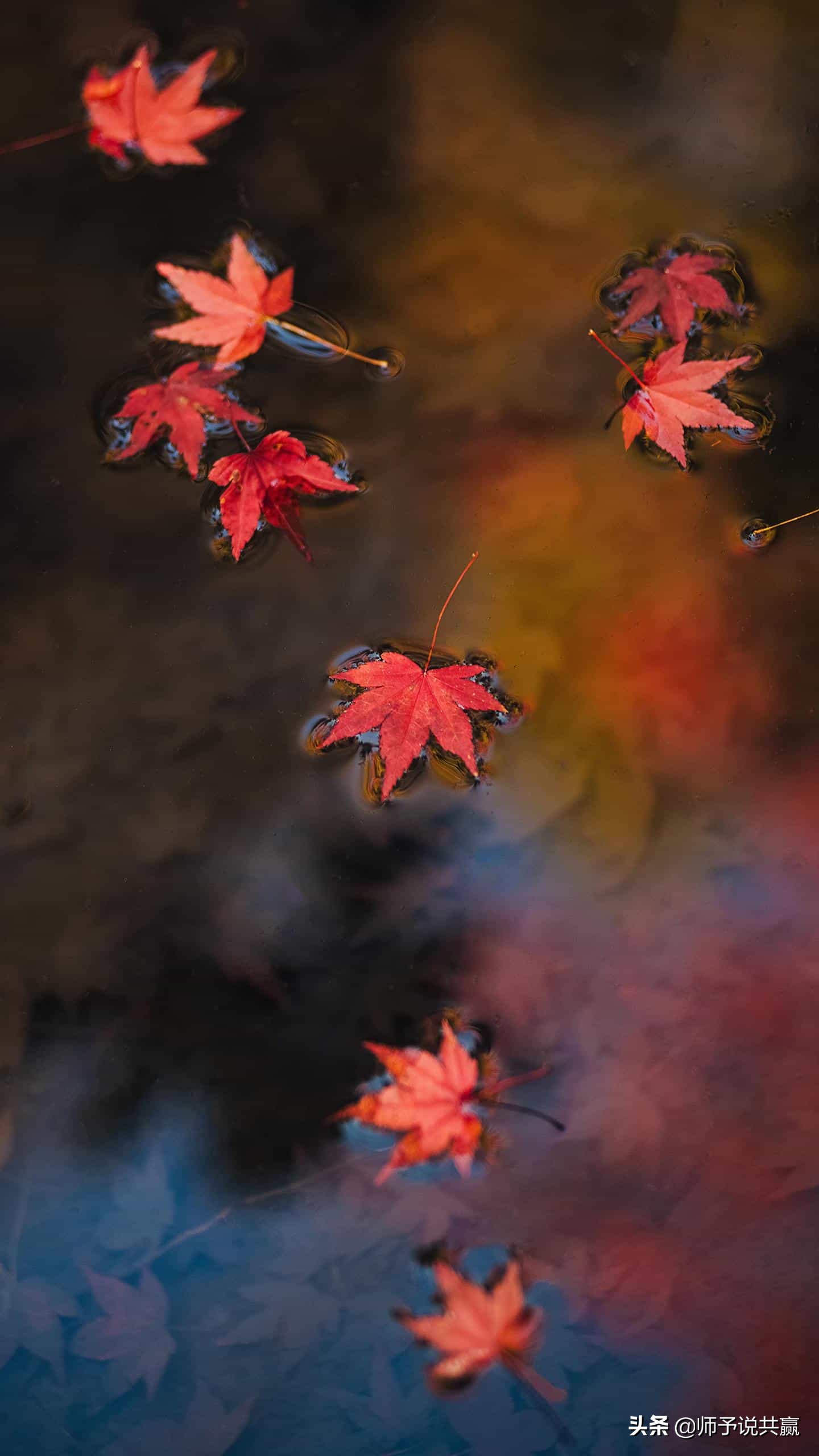 网络名片用什么好,网络形象怎么打造