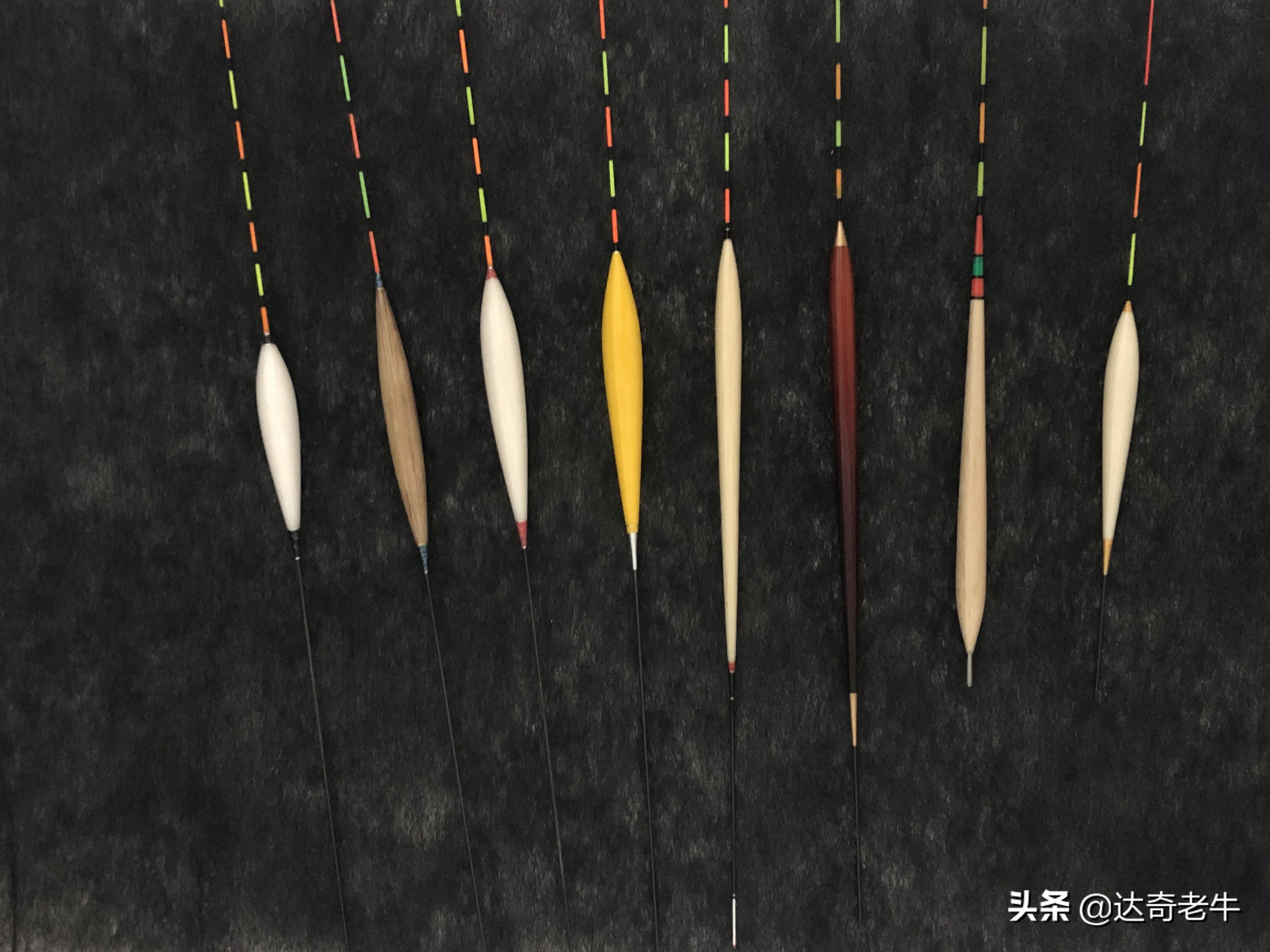 红虫颗粒钓鲤鱼用法,红虫颗粒钓鲫鱼效果怎么样