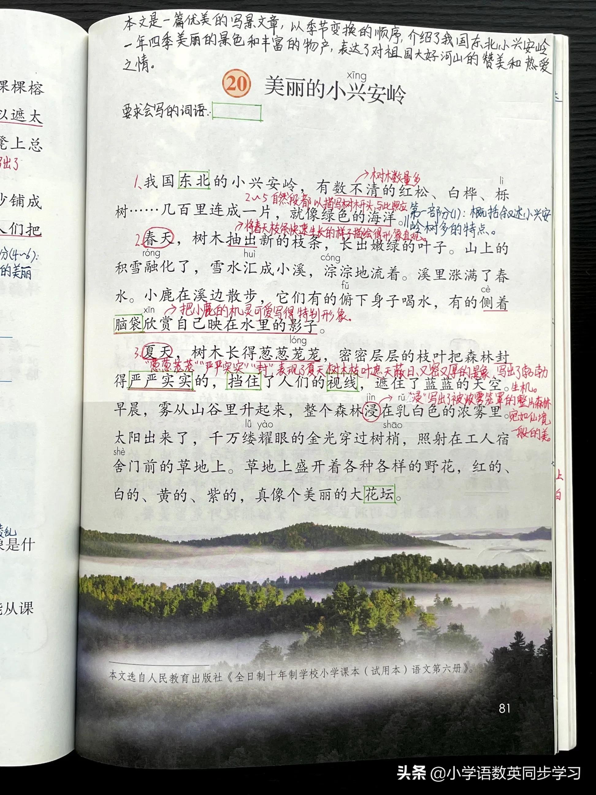 三年级上册第20课美丽的小兴安岭,三年级上册20美丽的小兴安岭生字