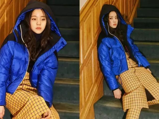 两千块买一件波司登羽绒服划算吗 (加拿大鹅和波司登哪个值得买)