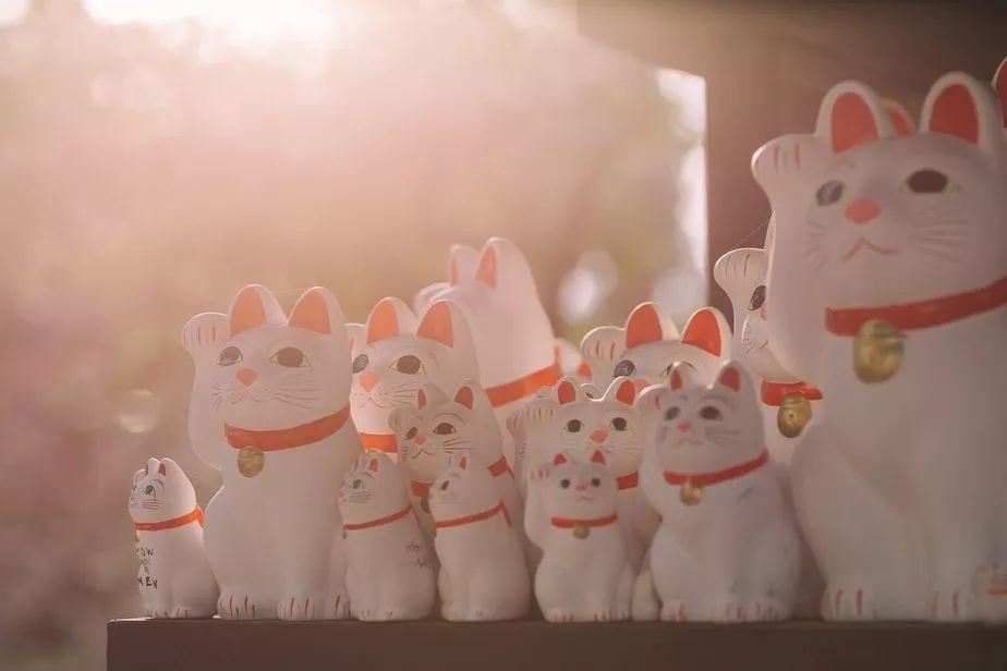 东京自由行攻略详细版,东京自由行全攻略