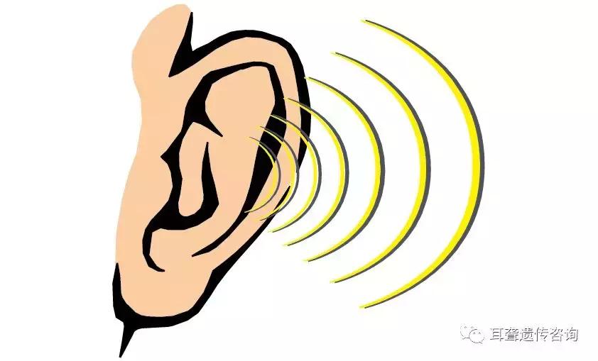 人工耳蜗发展史,人工耳蜗历史起源