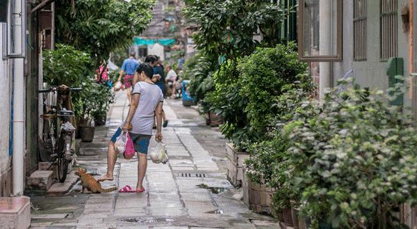 去广州必去的几条老街，“广府味”十足，正宗老广不一定全去过