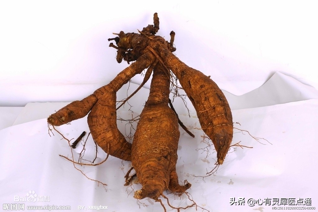 对症治疗好还是对应治疗好,对症下药最佳治疗方案