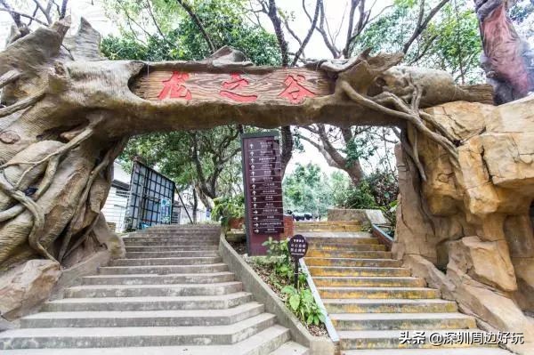 深圳白天游玩公园景点推荐,深圳红树林公园日落