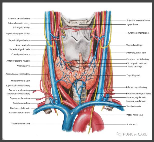 灵魂画手原创上热门,灵魂画手来了图片