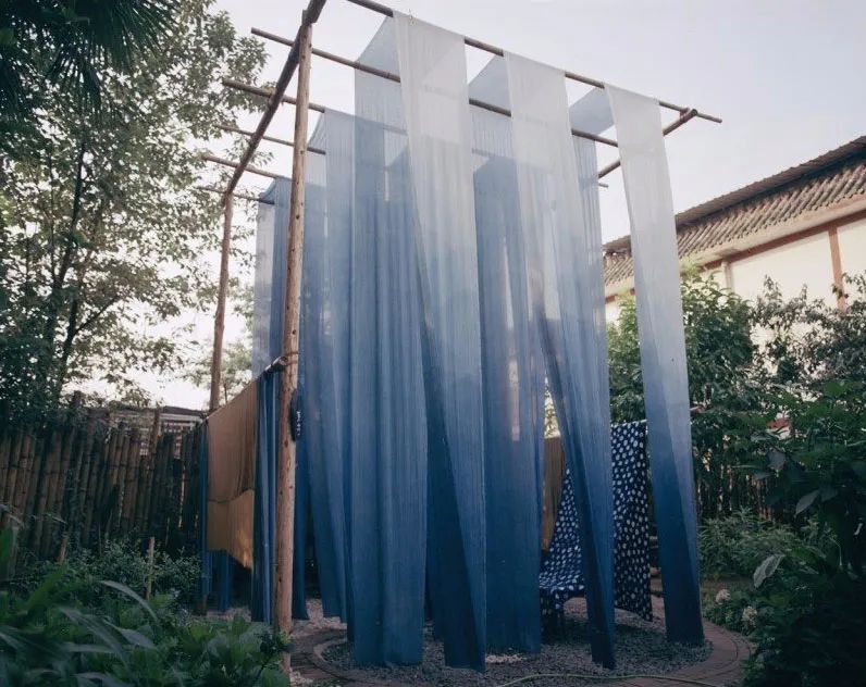 租下城郊200㎡小院,和陌生人一起生活5年:唱歌、染布、盖树屋