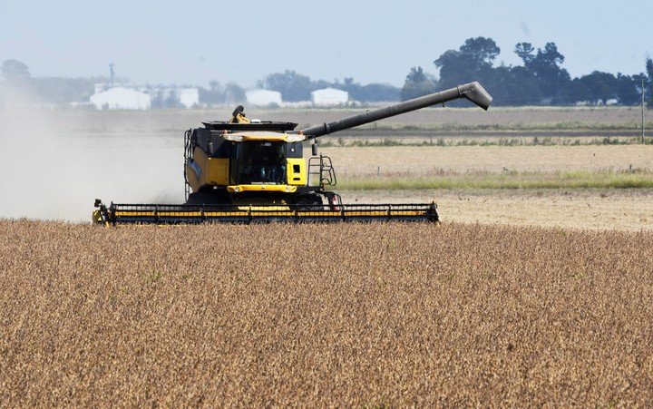 阿根廷拥有世界上最好的牛肉,阿根廷哪种牛肉最好