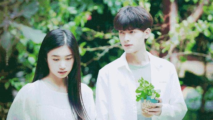 推荐8部近期热度高的电视剧,18部现在正在热播的电视剧