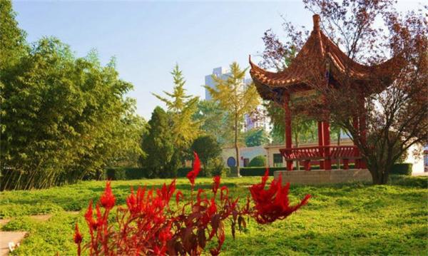 郑州所有区好学校,郑州有什么好的3+2学校