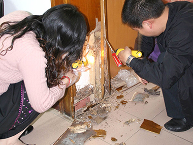 家庭白蚁防治哪里好,上门白蚁防治的有效方法