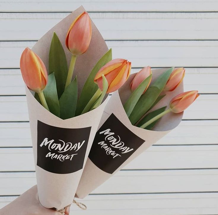 閮侀噾棣欑鐞冪殑鍏绘姢鏂规硶,姘村煿閮侀噾棣欏彂鑺藉悗鍏绘姢