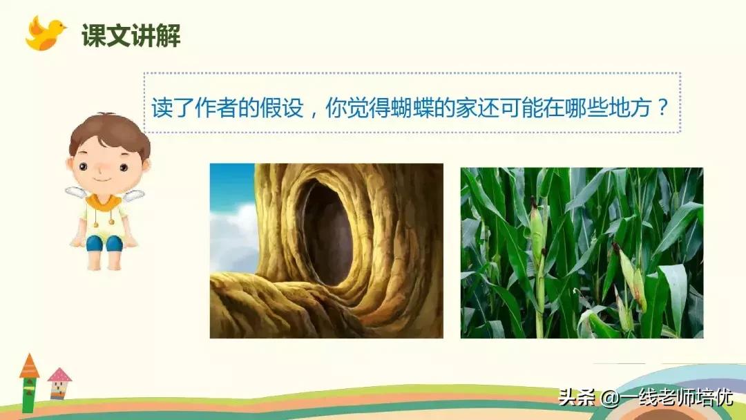 部编版蝴蝶的家课后练习及答案,四年级上册第8课蝴蝶的家全文