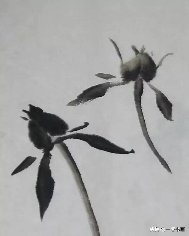王绣写意牡丹画法步骤,王兮然写意牡丹画法视频大全