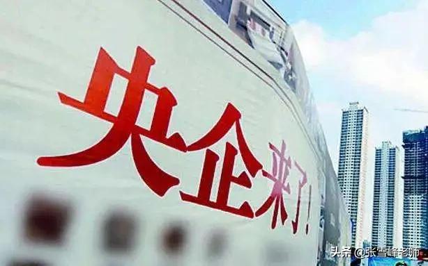 张雪峰谈国企央企招聘怎么报考,张雪峰央企国企私企外企