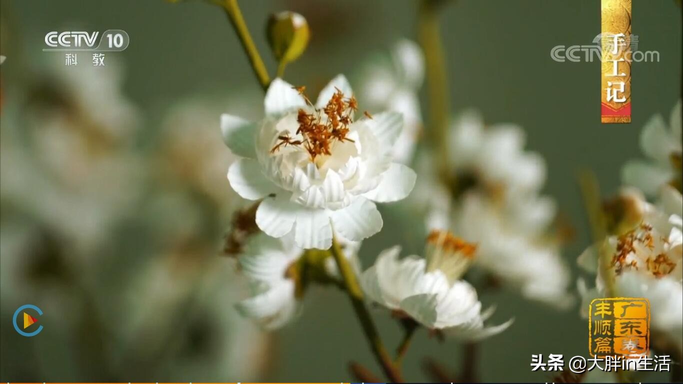 潮汕客家文化的交融之地,丰顺又上央视了,带你全方位了解