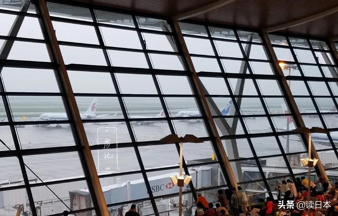 东京留学生年底如何回国,日本留学生中文历险记