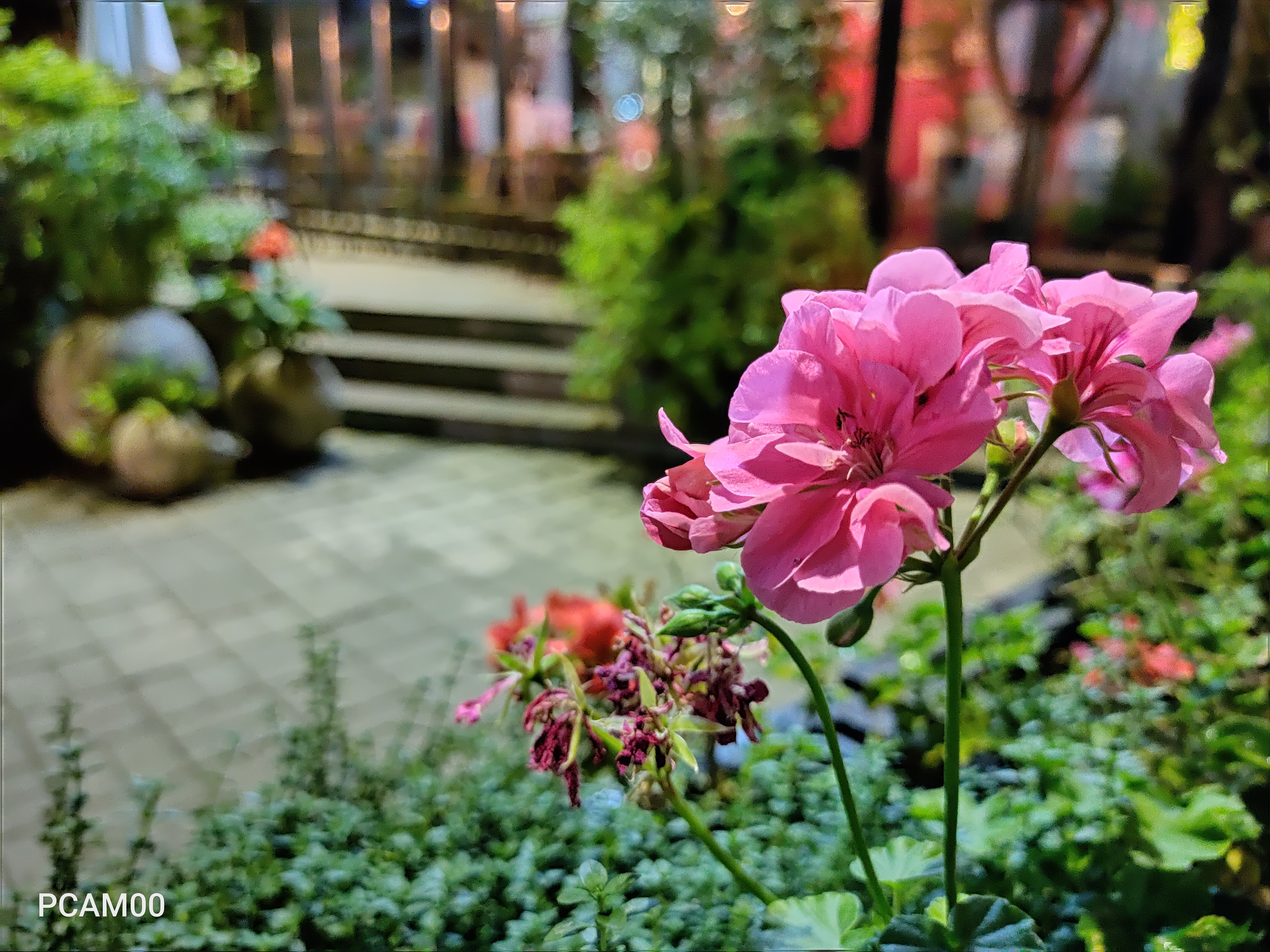 OPPOK5体验：骁龙730G+6400万主摄，1899元起售