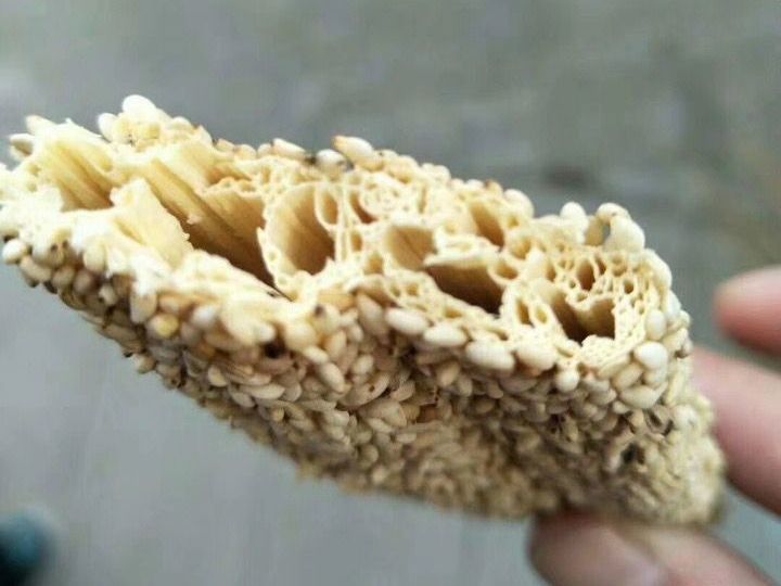 这种糖只有北方才有卖,香甜不粘牙,吃多牙不疼,老人孩子都爱吃