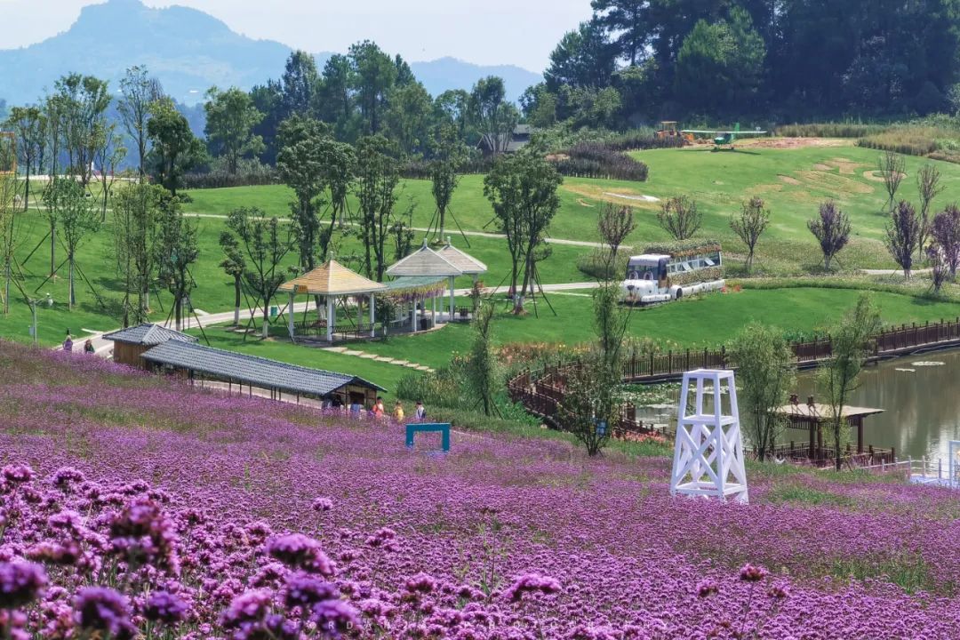 綦江城区游,重庆綦江区旅游