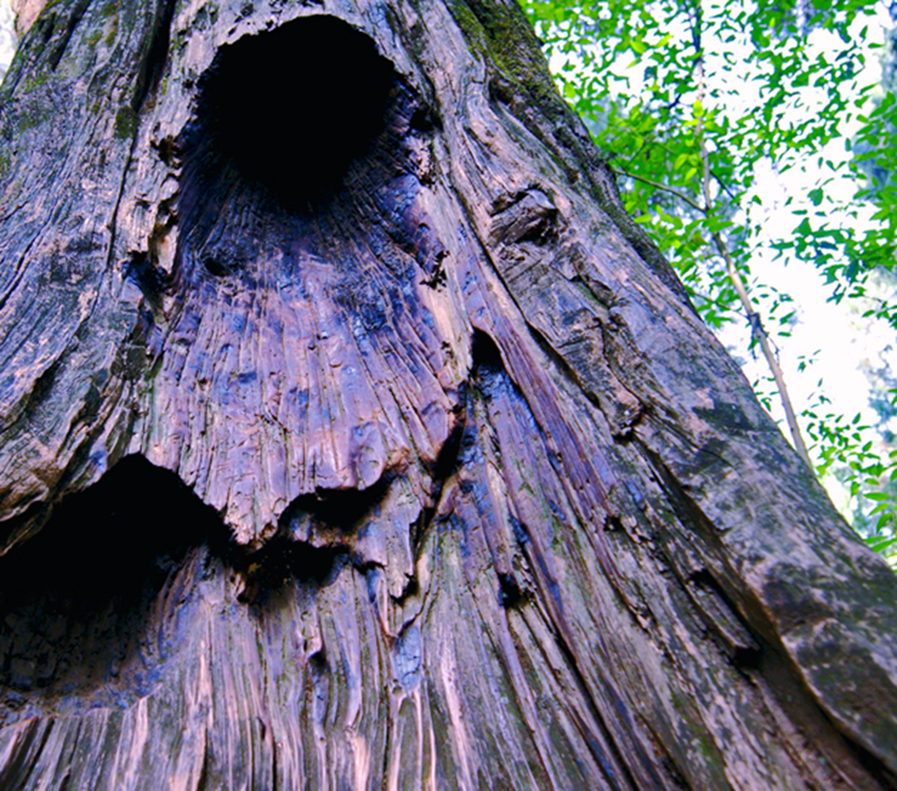 徒步峨眉山清音阁一线天风景,成都周边最美山峰徒步