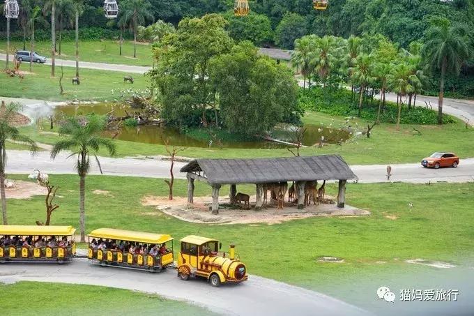 2天游玩广州长隆野生动物园攻略,广州长隆野生动物园步行游玩攻略