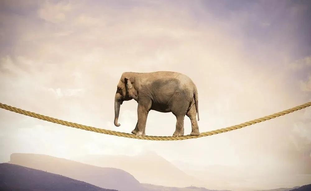 刷脸支付招商骗局大曝光,刷脸支付骗加盟费