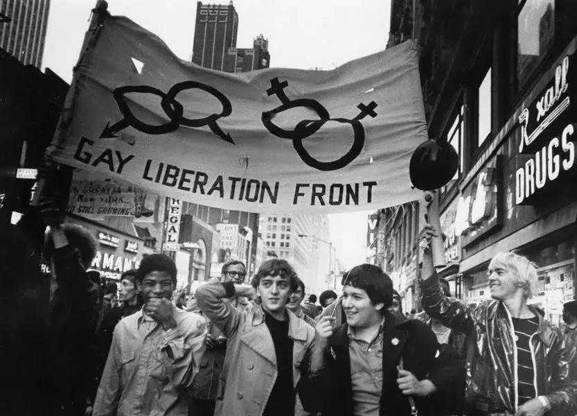 生活就是如此，我们想要独角兽，却得到了山羊