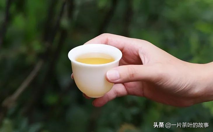 一杯茶敬帮过你的贵人,年底了一杯茶敬帮助过我的贵人