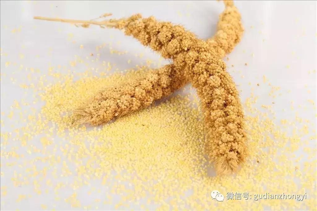 小米五谷养生,五谷之首小米功效