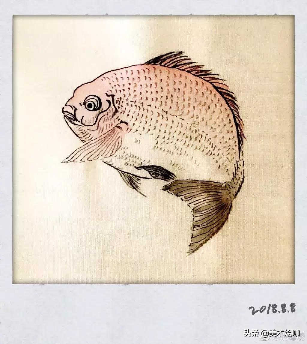 45岁的潘粤明电视剧,40岁的潘粤明魅力