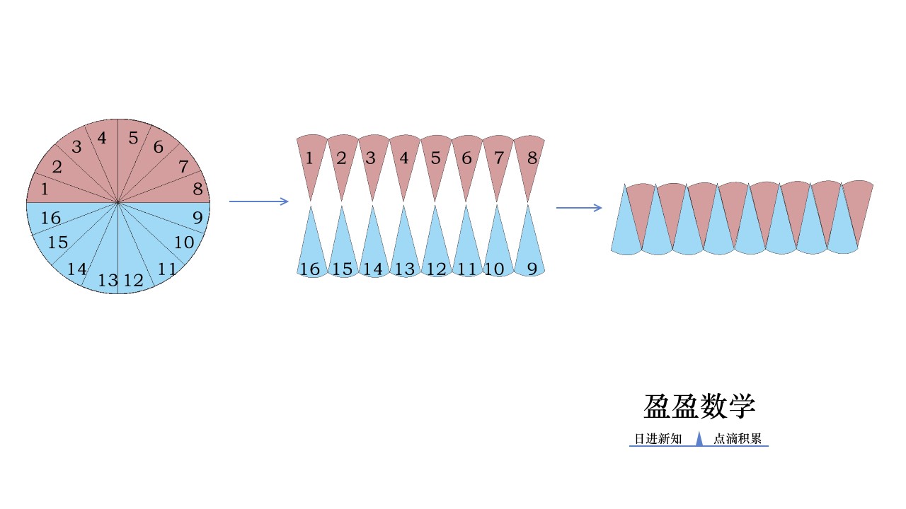 数学六年级上册第五单元圆习题解析和答案,上