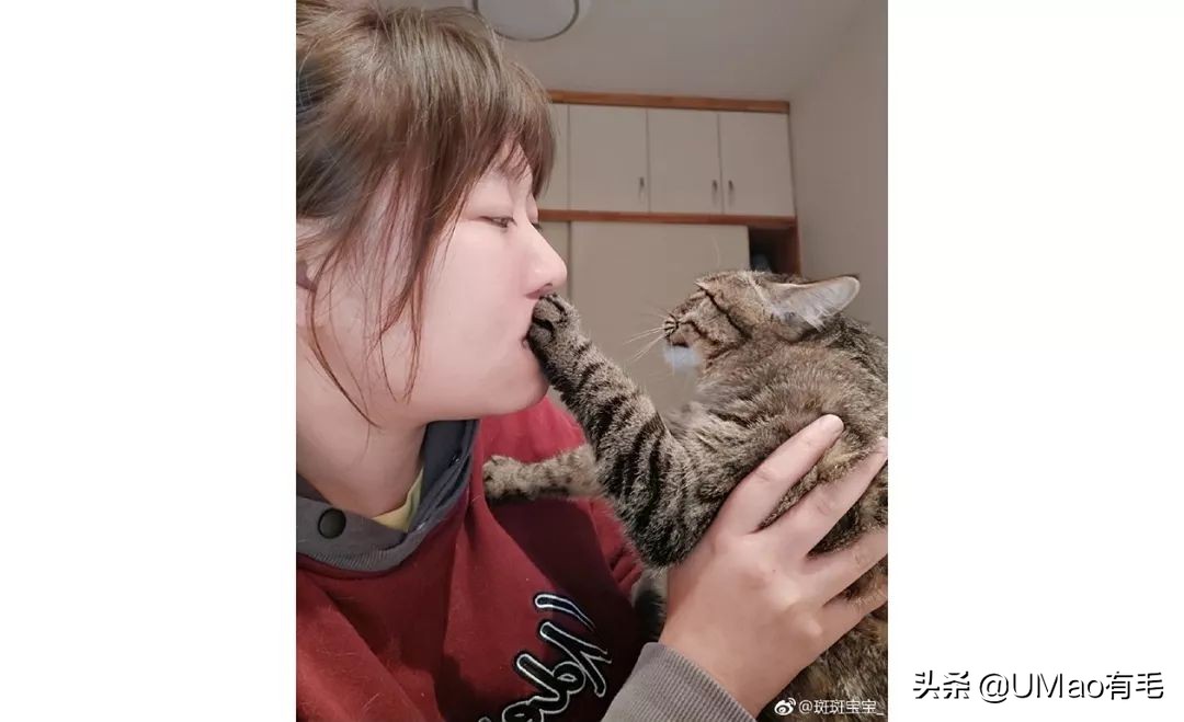 铲屎官别怕猫咪来保护你,猫咪对铲屎官的占有欲