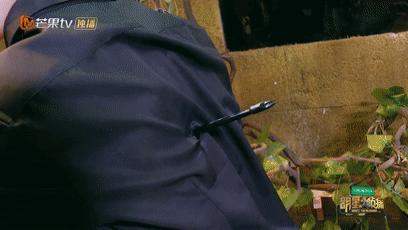 豆瓣9.2的国漫,豆瓣9.9国漫