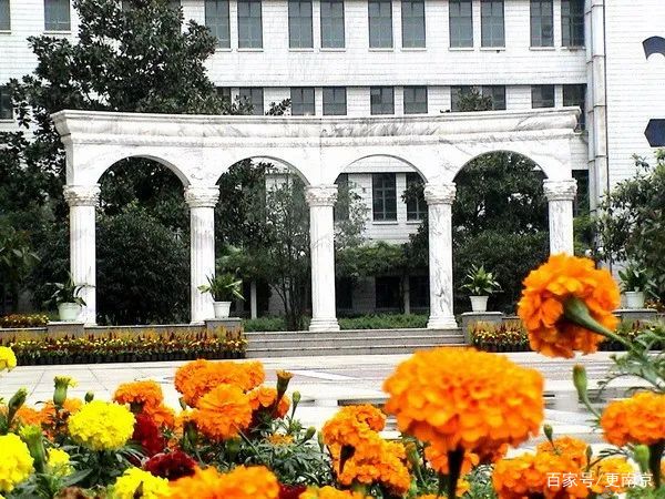 2020年南京高中排名,南京高中排名2020